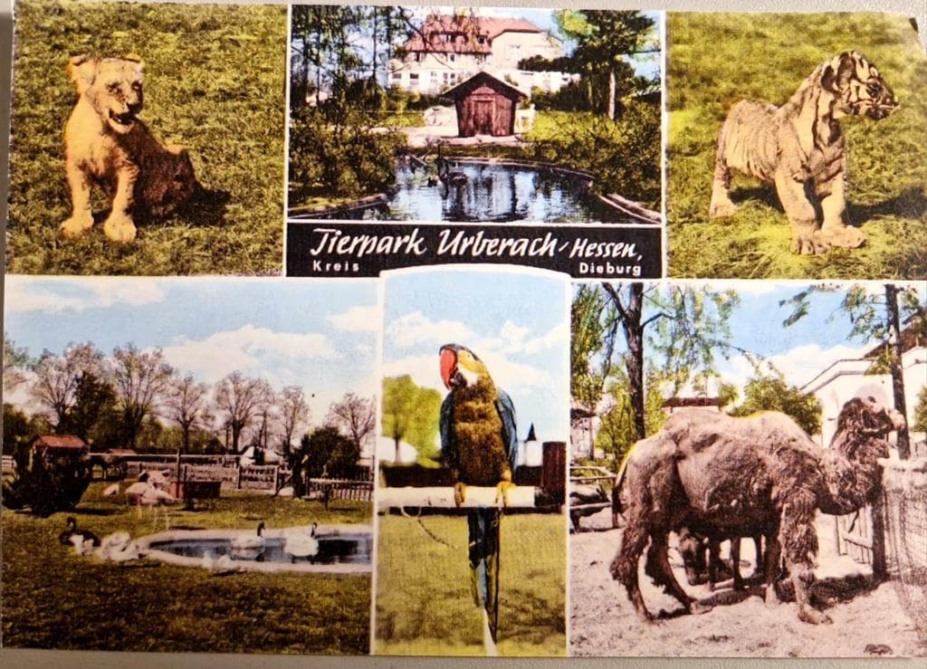 Der Tierpark Urberach. Kurz war das Anwesen ein Privatzoo.